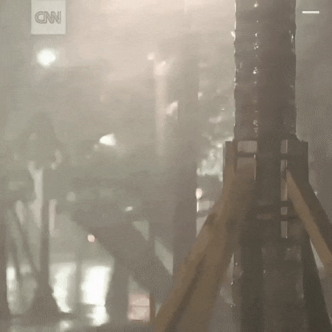 gifdump_1429_05.gif
