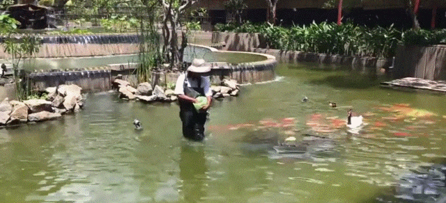 gifdump_1454_07.gif