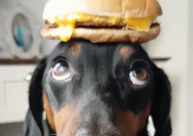gifdump_1454_12.gif