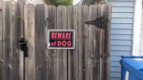gifdump_1454_17.gif