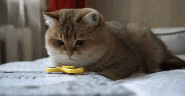 gifdump_1457_10.gif