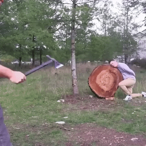gifdump_1461_10.gif