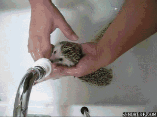 gifdump_1496_27.gif