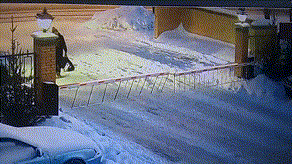 gifdump_1517_12.gif