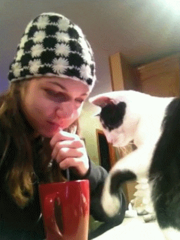 gifdump_1530_27.gif