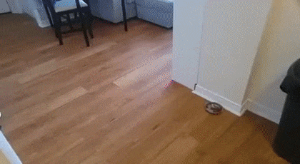 gifdump_1532_10.gif