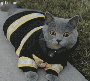 gifdump_1545_09.gif