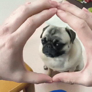 gifdump_1548_24.gif