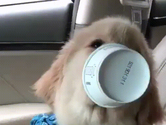 gifdump_1575_20.gif