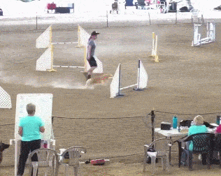 gifdump_2809_18.gif