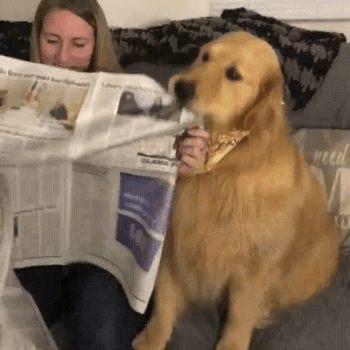 gifdump_2817_28.gif