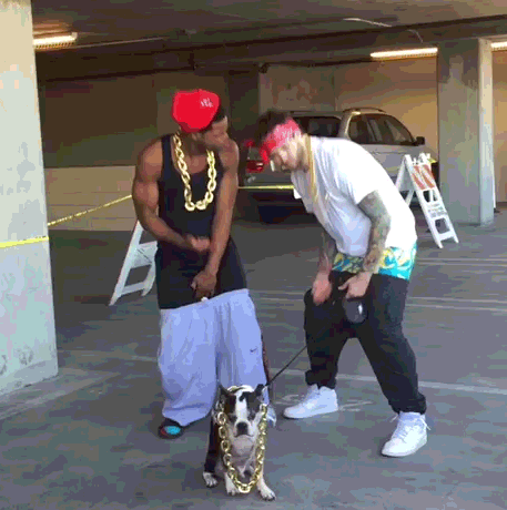gifdump_2839_14.gif