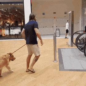 gifdump_2872_05.gif