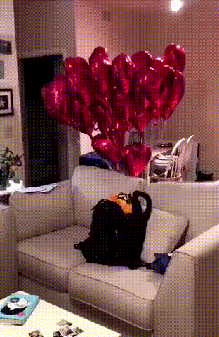 gifdump_2883_06.gif