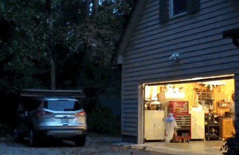 gifdump_2936_28.gif