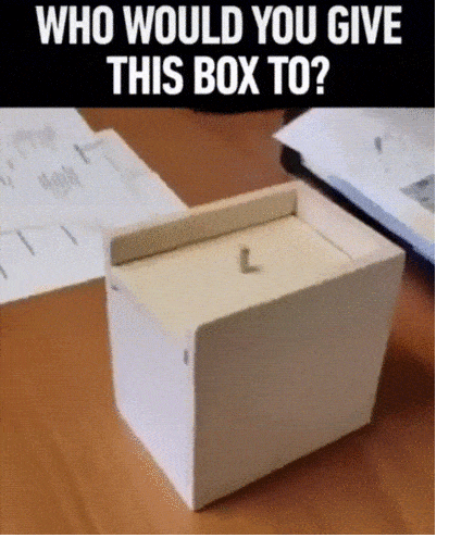 gifdump_2955_08.gif