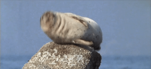 gifdump_2971_05.gif
