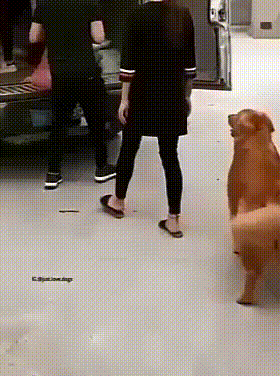 gifdump_2971_08.gif