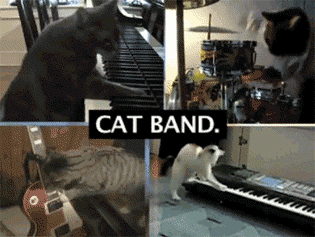 gifdump_2980_14.gif