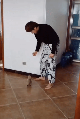gifdump_3007_15.gif