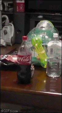 gifdump_3036_30.gif