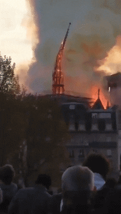 gifdump_3055_10.gif
