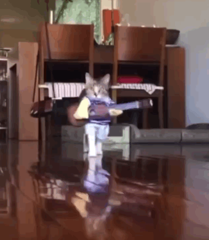 gifdump_3088_10.gif