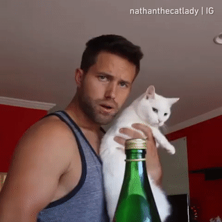 gifdump_3116_03.gif