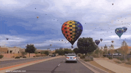 gifdump_3137_21.gif