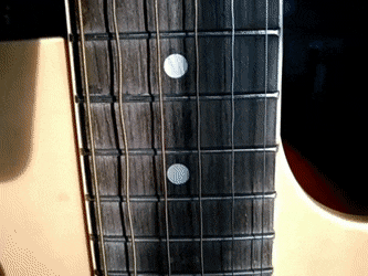 gifdump_3206_22.gif