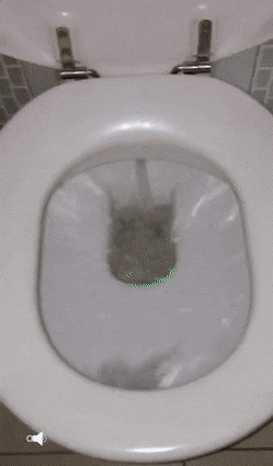 gifdump_3378_27.gif