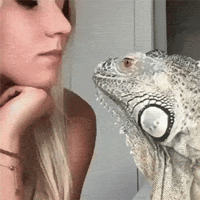 gifdump_3577_16.gif