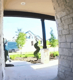 gifdump_35_13.gif