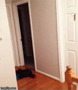 gifdump_4034_09.gif