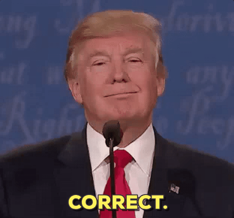 giphy (1).gif