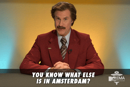 giphy (1).gif