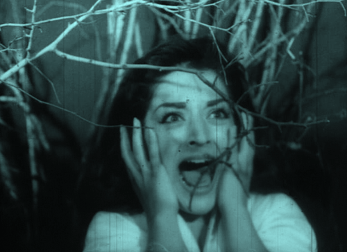 giphy-1.gif
