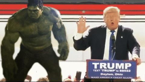giphy-1.gif