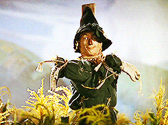 giphy (10).gif