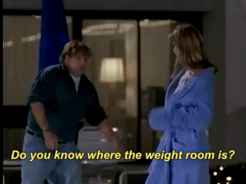 giphy-11.gif