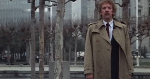 giphy (13).gif