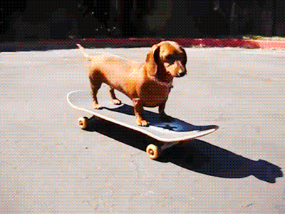 giphy-13.gif