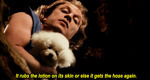 giphy (13).gif