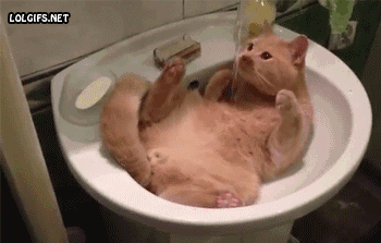 giphy-135.gif