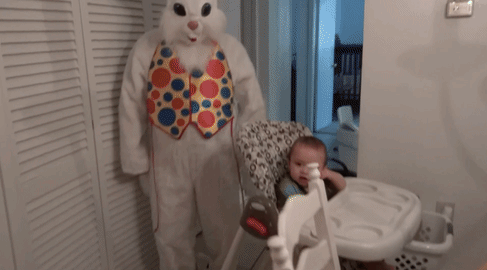 giphy (14).gif