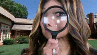 giphy (14).gif