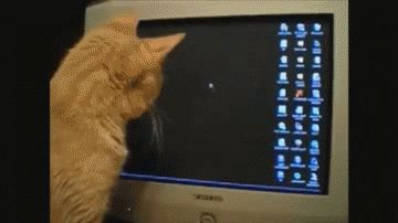 giphy-15.gif