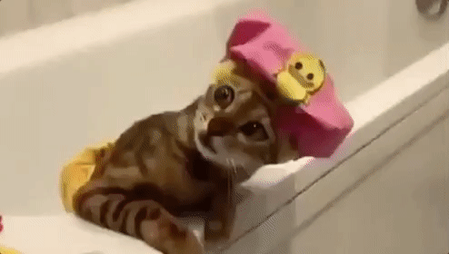 giphy-150.gif