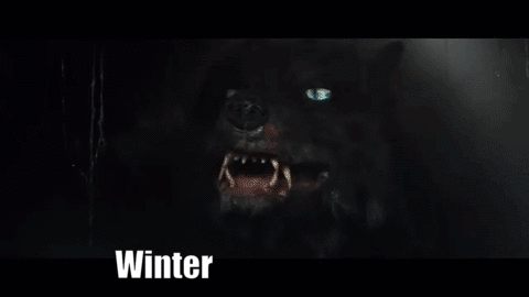 giphy (16).gif
