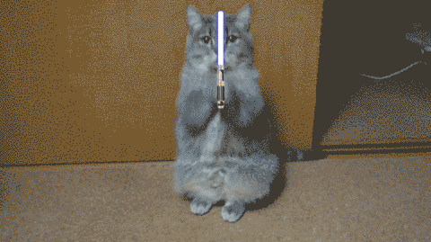 giphy (18).gif
